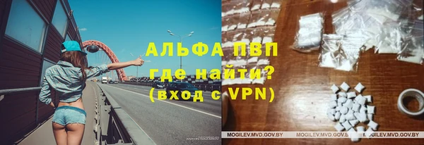 a pvp Новозыбков