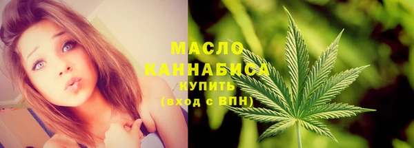 дмт Нея