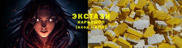 a pvp Новозыбков
