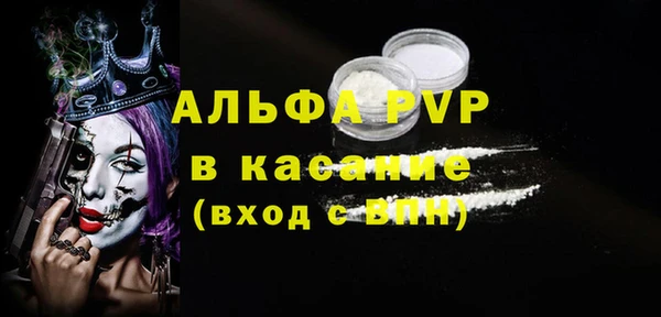 гашик Няндома