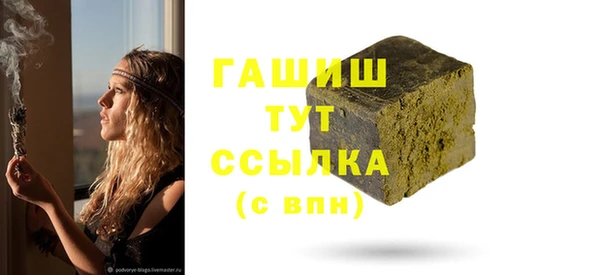 гашик Няндома