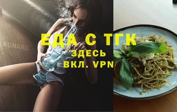 гашик Няндома