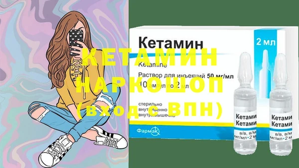 гашик Няндома