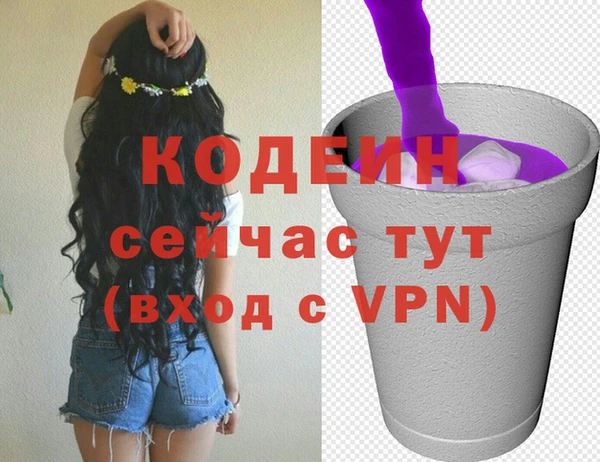 гашик Няндома
