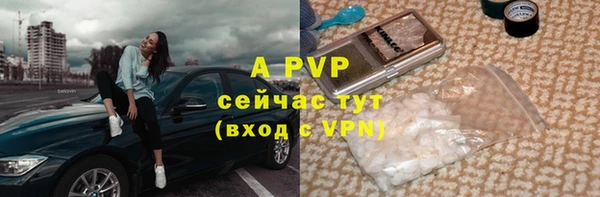 дмт Нея